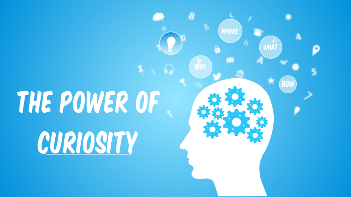 The Power Of Curiosity: Fueling Creativity Through Lifelong Learning ...